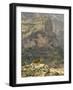 Walia Ibex and Gelada Baboon, Simen National Park, Northern Ethiopia-Janis Miglavs-Framed Photographic Print