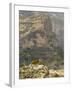 Walia Ibex and Gelada Baboon, Simen National Park, Northern Ethiopia-Janis Miglavs-Framed Photographic Print