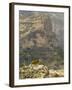 Walia Ibex and Gelada Baboon, Simen National Park, Northern Ethiopia-Janis Miglavs-Framed Photographic Print