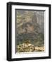 Walia Ibex and Gelada Baboon, Simen National Park, Northern Ethiopia-Janis Miglavs-Framed Premium Photographic Print