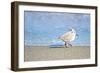 Walk Along The Coast-Bruce Nawrocke-Framed Photographic Print