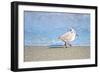 Walk Along The Coast-Bruce Nawrocke-Framed Photographic Print