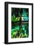 Walk in Beauty-Ursula Abresch-Framed Photographic Print