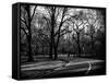 Walk in Central Park-Philippe Hugonnard-Framed Stretched Canvas