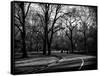 Walk in Central Park-Philippe Hugonnard-Framed Stretched Canvas