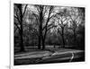 Walk in Central Park-Philippe Hugonnard-Framed Photographic Print