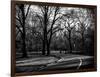 Walk in Central Park-Philippe Hugonnard-Framed Photographic Print