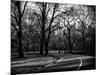 Walk in Central Park-Philippe Hugonnard-Mounted Photographic Print