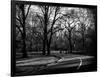 Walk in Central Park-Philippe Hugonnard-Framed Photographic Print