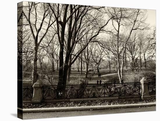 Walk in Central Park-Philippe Hugonnard-Stretched Canvas