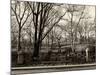 Walk in Central Park-Philippe Hugonnard-Mounted Photographic Print