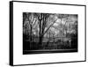 Walk in Central Park-Philippe Hugonnard-Framed Stretched Canvas
