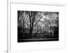 Walk in Central Park-Philippe Hugonnard-Framed Art Print