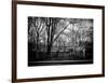 Walk in Central Park-Philippe Hugonnard-Framed Art Print