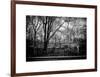 Walk in Central Park-Philippe Hugonnard-Framed Art Print