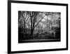 Walk in Central Park-Philippe Hugonnard-Framed Art Print