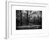 Walk in Central Park-Philippe Hugonnard-Framed Art Print