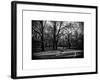 Walk in Central Park-Philippe Hugonnard-Framed Art Print