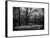 Walk in Central Park-Philippe Hugonnard-Framed Stretched Canvas