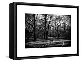 Walk in Central Park-Philippe Hugonnard-Framed Stretched Canvas