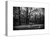 Walk in Central Park-Philippe Hugonnard-Stretched Canvas