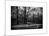 Walk in Central Park-Philippe Hugonnard-Mounted Art Print