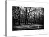 Walk in Central Park-Philippe Hugonnard-Stretched Canvas