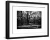 Walk in Central Park-Philippe Hugonnard-Framed Art Print