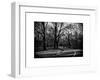 Walk in Central Park-Philippe Hugonnard-Framed Art Print