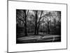 Walk in Central Park-Philippe Hugonnard-Mounted Art Print