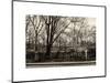 Walk in Central Park-Philippe Hugonnard-Mounted Art Print