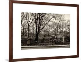 Walk in Central Park-Philippe Hugonnard-Framed Art Print