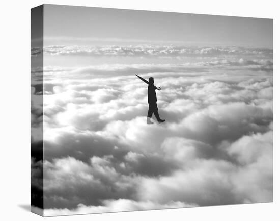 Walk in the Clouds-Urban Cricket-Stretched Canvas