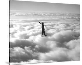 Walk in the Clouds-Urban Cricket-Stretched Canvas