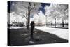 Walk in the Jardin des Tuileries - In the Style of Oil Painting-Philippe Hugonnard-Stretched Canvas