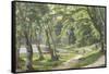 Walk in the Park, Copenhagen-Carsten Henrichsen-Framed Stretched Canvas