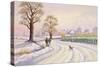 Walk in the Snow-Lavinia Hamer-Stretched Canvas