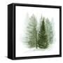 Walk in the Woods I-Grace Popp-Framed Stretched Canvas