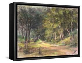 Walk in the Woods, Somerset, 1995-Margo Starkey-Framed Stretched Canvas