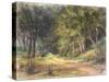 Walk in the Woods, Somerset, 1995-Margo Starkey-Stretched Canvas