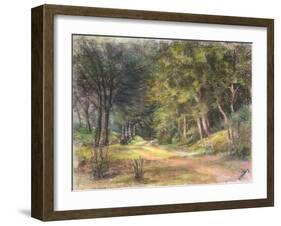 Walk in the Woods, Somerset, 1995-Margo Starkey-Framed Giclee Print
