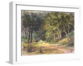 Walk in the Woods, Somerset, 1995-Margo Starkey-Framed Giclee Print