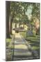 Walk of Fame, Rollins College-null-Mounted Art Print