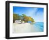 Walk on Shelly Beach-Craig Trewin Penny-Framed Art Print