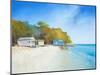 Walk on Shelly Beach-Craig Trewin Penny-Mounted Art Print