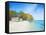 Walk on Shelly Beach-Craig Trewin Penny-Framed Stretched Canvas