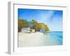 Walk on Shelly Beach-Craig Trewin Penny-Framed Art Print