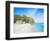 Walk on Shelly Beach-Craig Trewin Penny-Framed Art Print