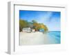 Walk on Shelly Beach-Craig Trewin Penny-Framed Art Print