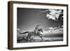 Walk on Water-Dan Ballard-Framed Photographic Print